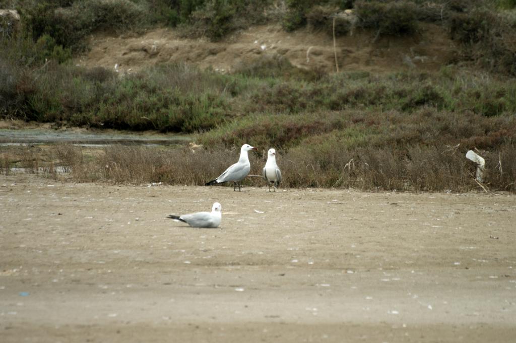 2012-Spanje (58)